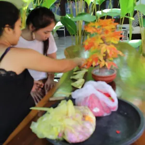 Guest house Sadia 