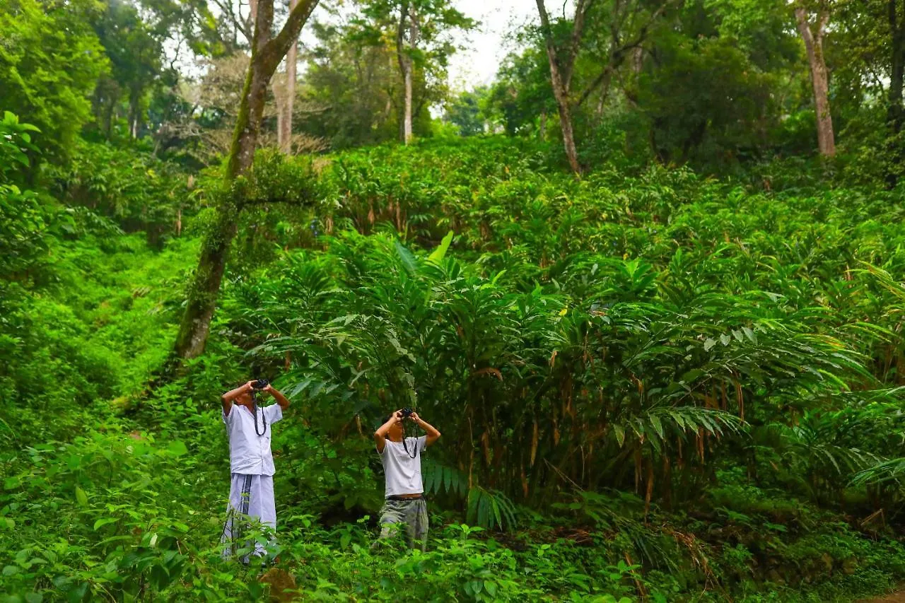 Hotel Sitaram Mountain Retreat Munnar Resort