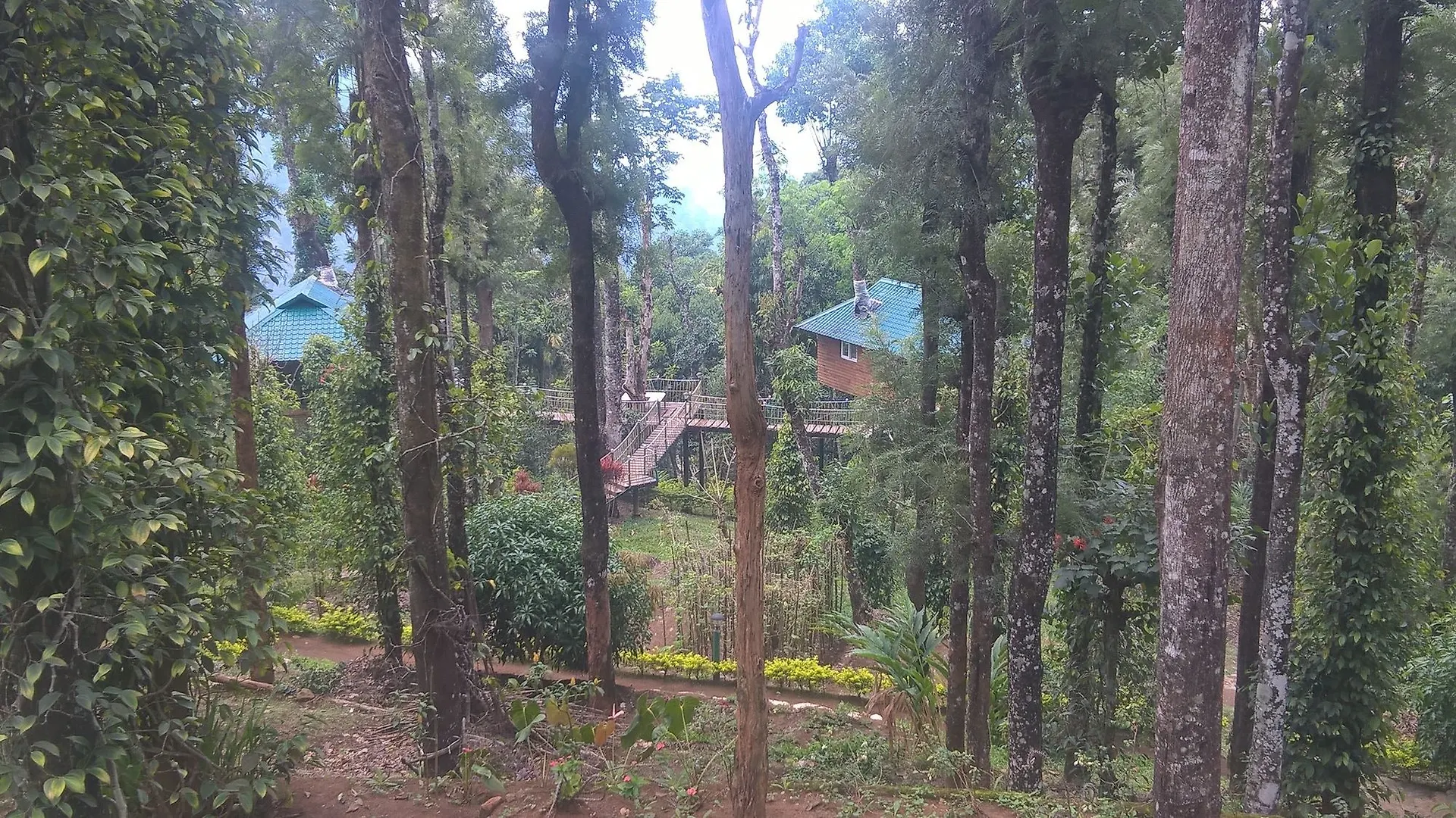 Resort Hotel Sitaram Mountain Retreat Munnar